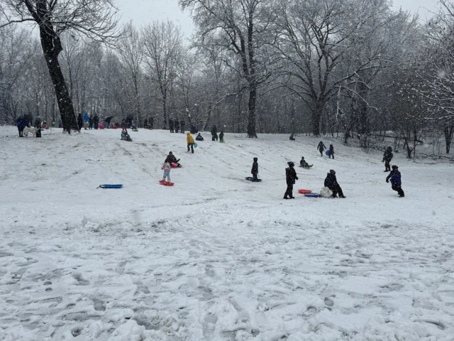 People enjoying the snow in Prospect Park, New York.