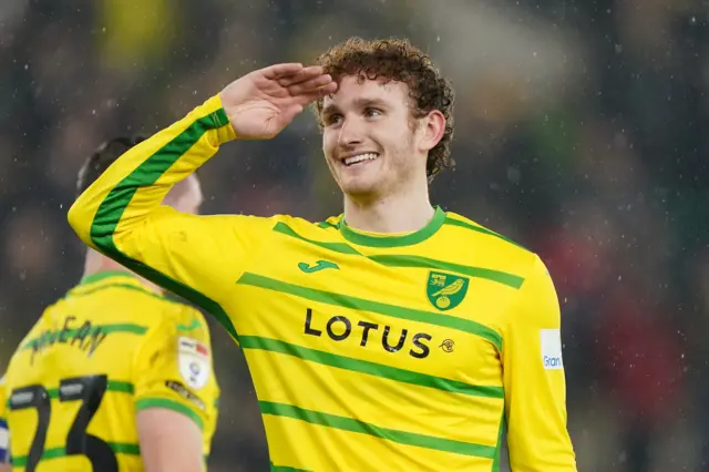 Josh Sargent celebrates scoring against Watford