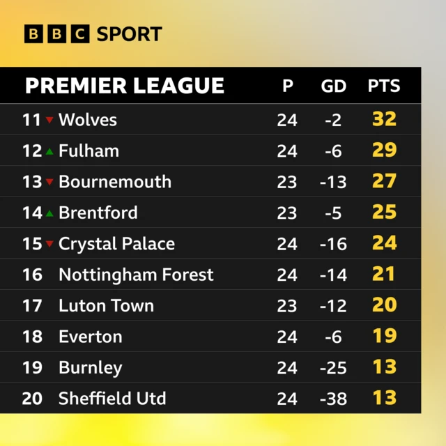 Bottom half of the Premier League table - morning of 17/02/24