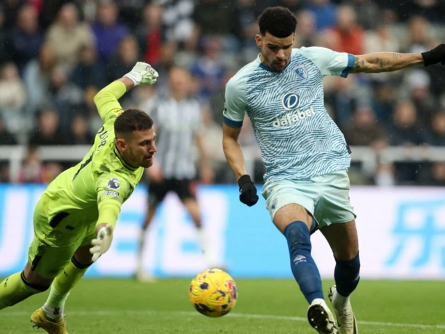 AFC Bournemouth's Dominic Solanke scores their first goa