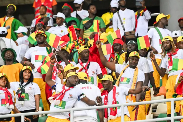 Guinea fans