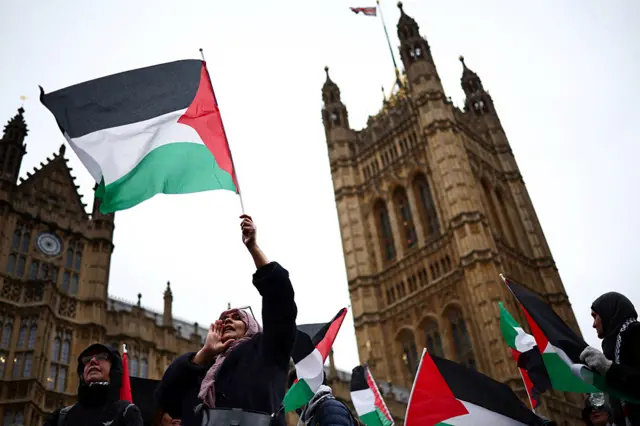 People shout and wave Palestinian flags outside Parliament on 21 February