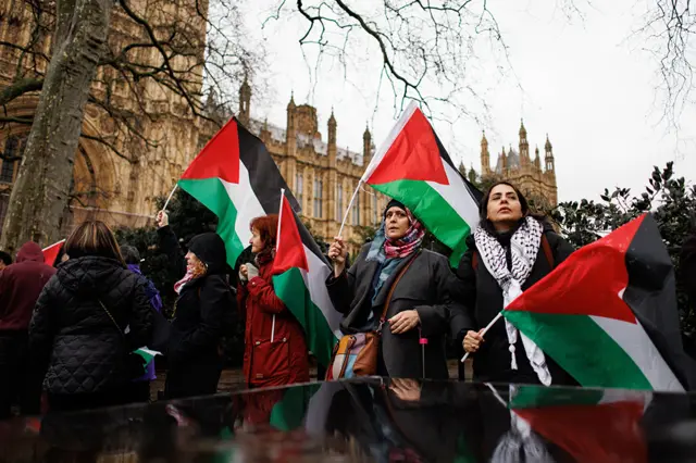 People stand outside Parliament with Palestinian flags on 21 February