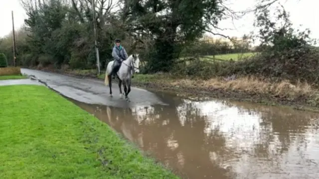 A horse approaching flood water on St Peter's Lane, Bickenhill