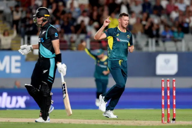 Josh Hazlewood celebrates wicket