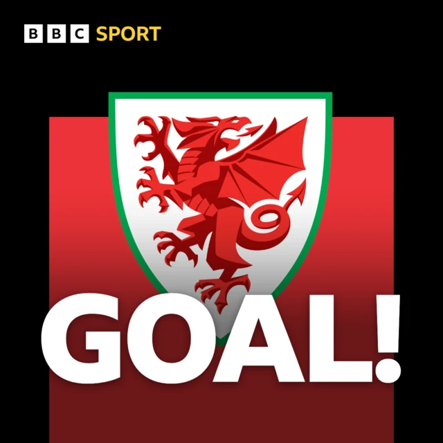 Wales goal