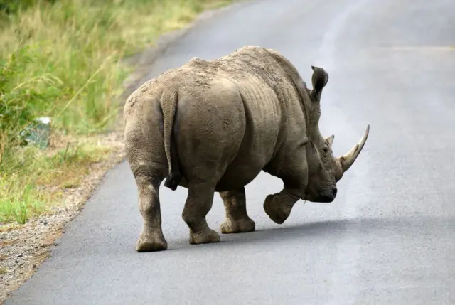 Hluhluwe-Imfolozi National Park on April 16, 2017 in South Africa