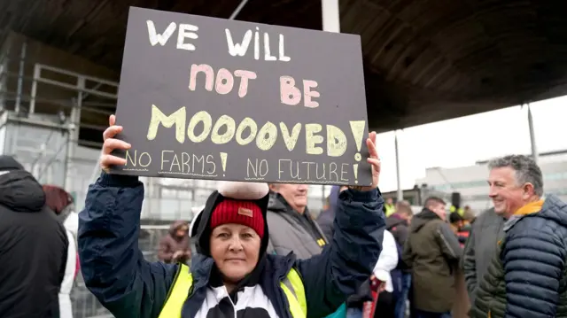 Women protests outside Senedd in cow costume with sign that reads: "We will not be mooooved".