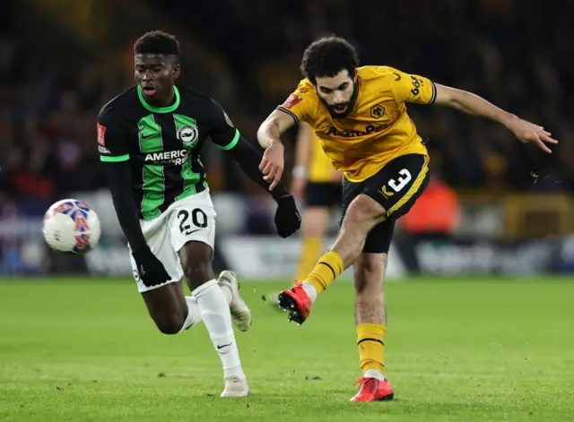 Wolves v Brighton