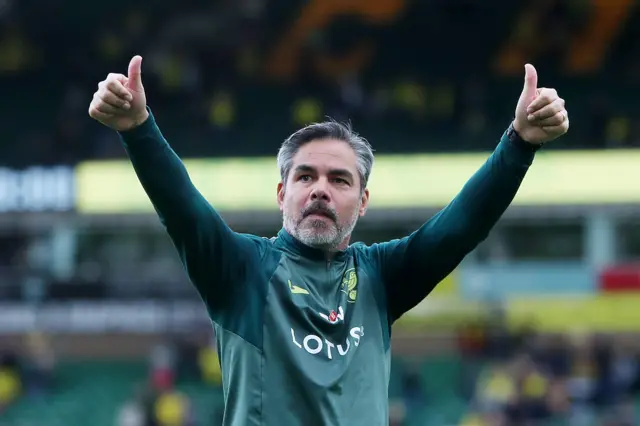 Norwich City's David Wagner