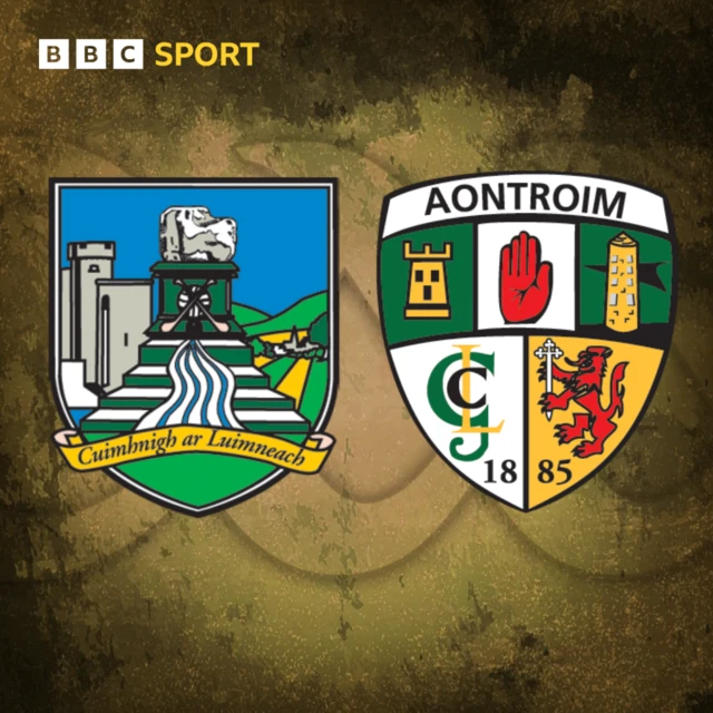 Hurling: Limerick v Antrim