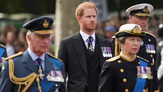 Harry marches behind Charles and Anne at the coronation