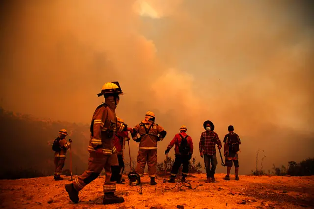 Firefighters work on the zone of a forest fire in the hills in Chile, 3 February 2024