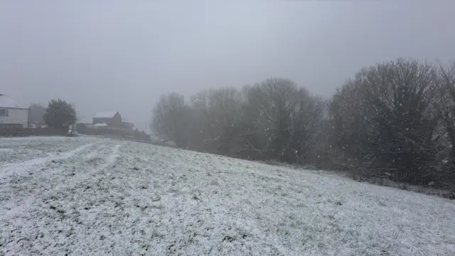 Snow in Bingham Park