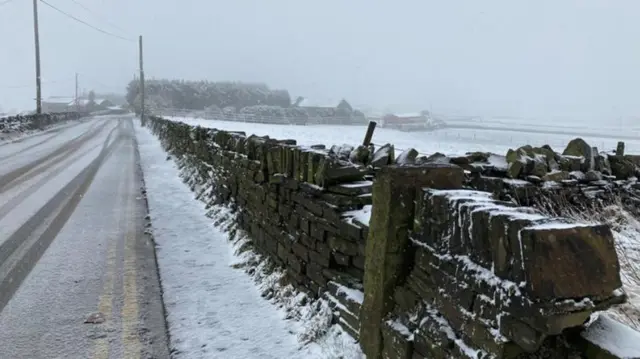 Snow in Shelf