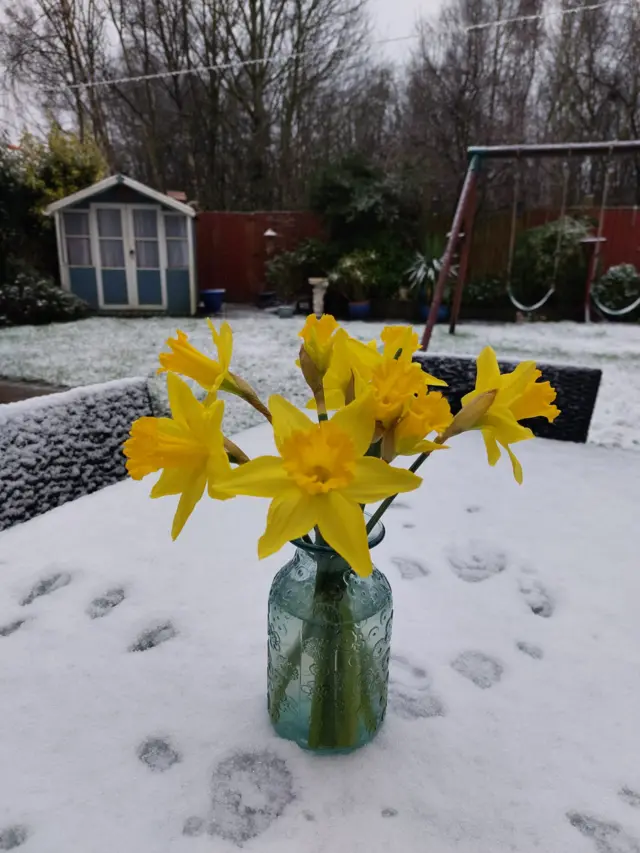 mapperley plains snow