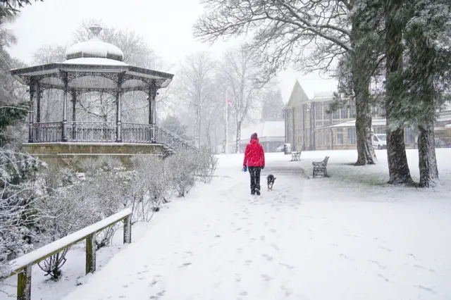 A person walks a dog through Pavilion Gardens,