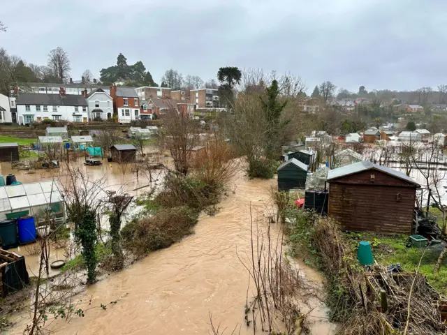 Kenilworth Allotments