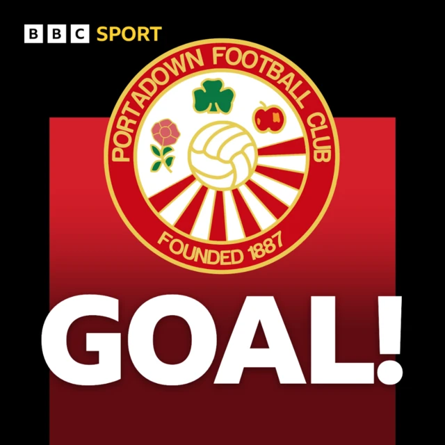 Portadown goal