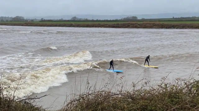 Surfers riding the Severn Bore