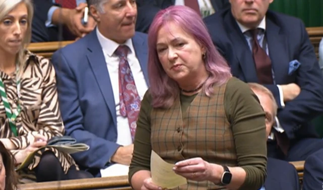 Liz Saville Roberts stands in the House of Commons