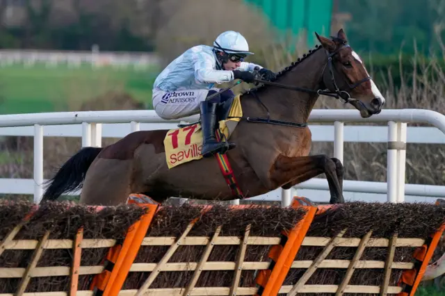 Jade De Grugy, ridden by Paul Townend