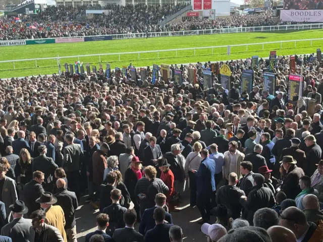 Cheltenham crowd