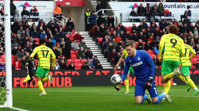 Norwich celebrate