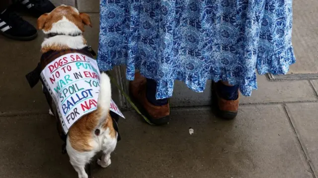 A dog with a slogan protesting the Russian election in London.