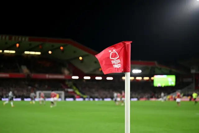 Nottingham Forest corner flag