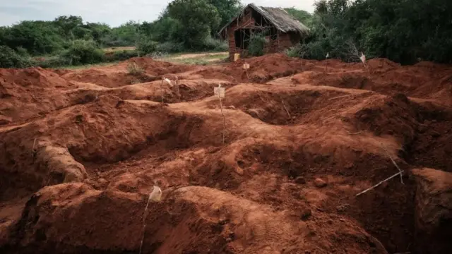 One of several mass graves in Shakola forest.