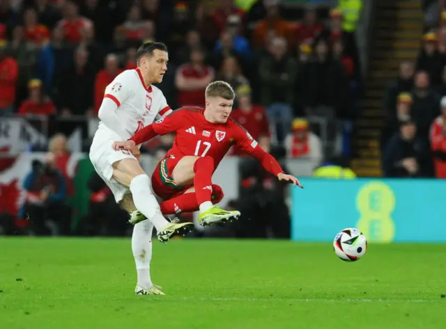 Wales in action against Poland