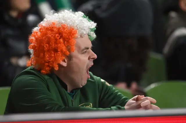 Republic of Ireland fan