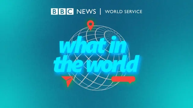 what in the world logo