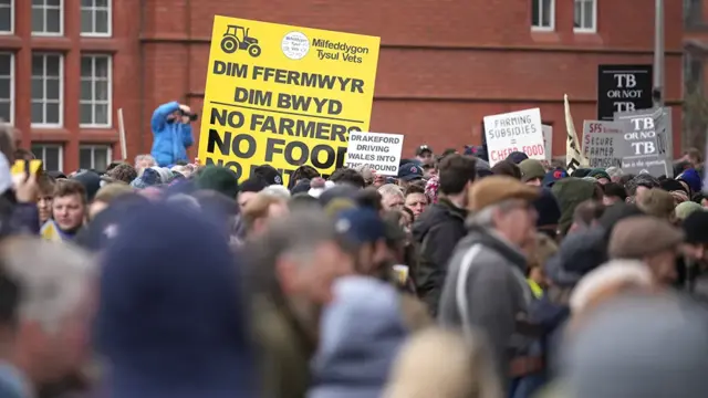 Ymgasglodd protestwyr y tu allan i'r Senedd yr wythnos diwethaf