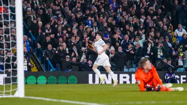 Dan James celebrates scoring for Leeds