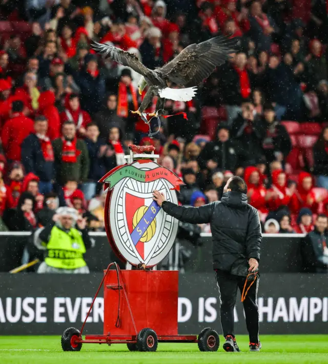 Benfica eagle