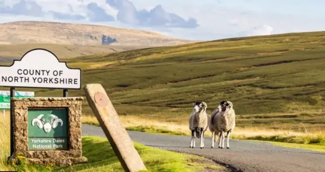 North Yorkshire sign