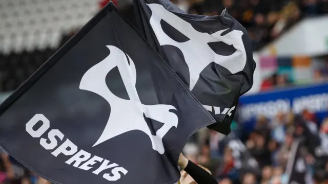 Ospreys flag