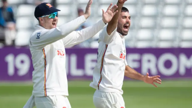 Shane Snater celebrates taking a wicket