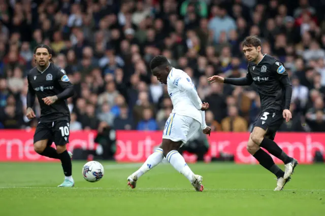 Leeds' Willy Gnonto takes a shot