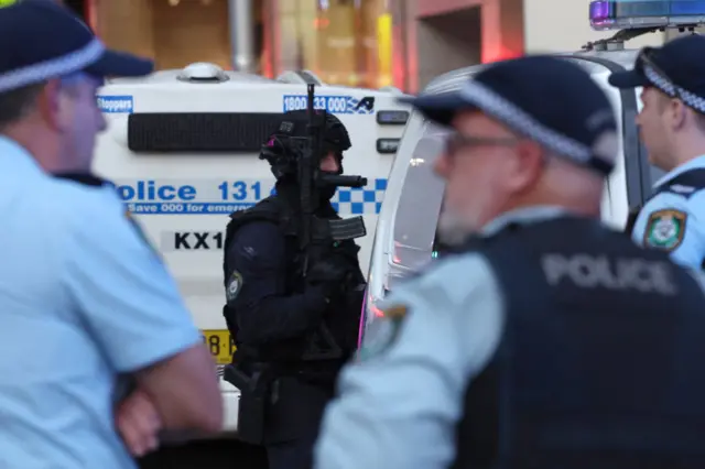 Police officers in tactical gear standby