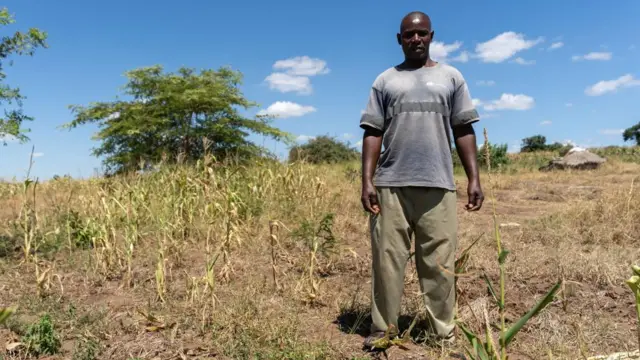 Local farmer Kaunga Ngoma stands in his maize field affected by drought in Mazabuka, Southern Province, Zambia, 20 March 2024