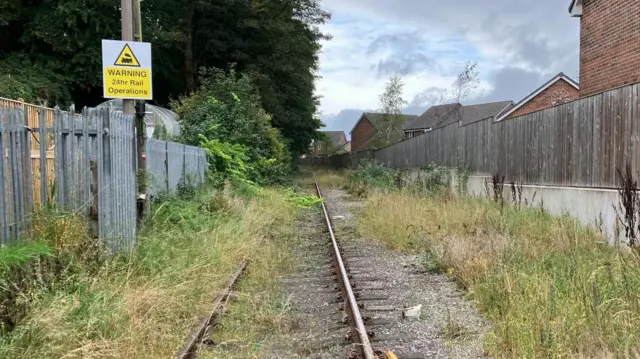 Grass growing over a railway line