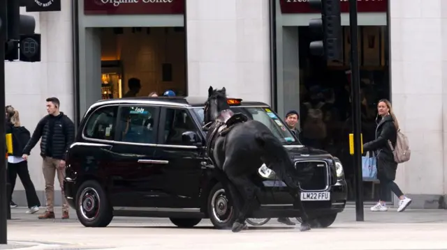 Horse and black cab