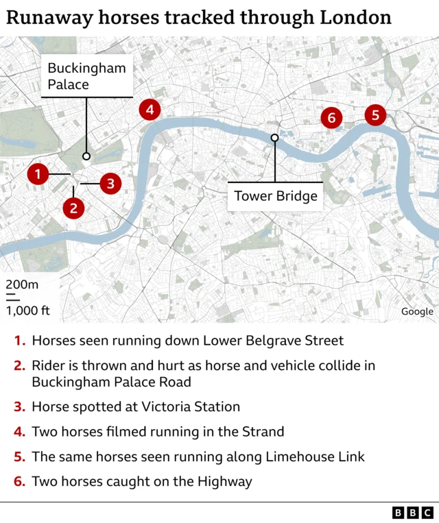 Map of horse's route through London, beginning near Buckingham Palace and ending in Limehouse