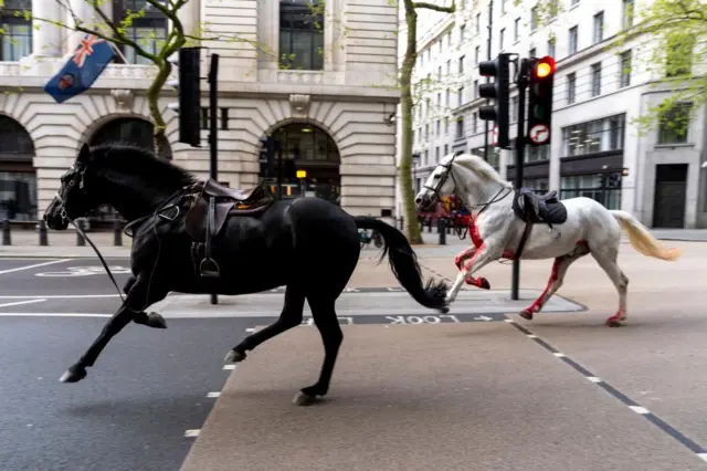 Horses in London