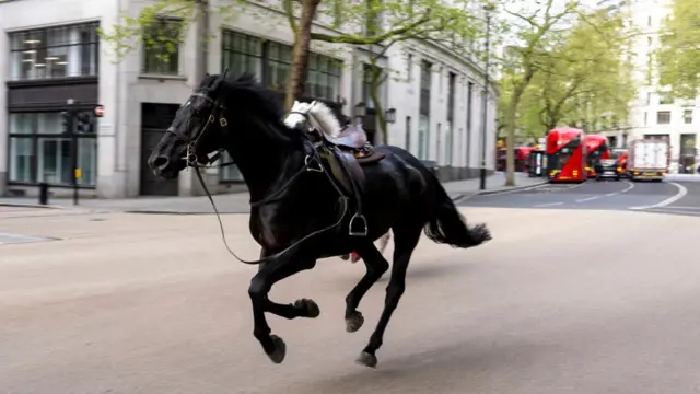 Horse in Aldwych