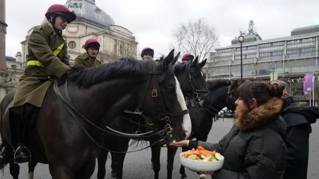 Members of the Household Cavalry Mounted Regiment in central London