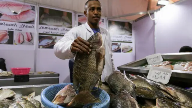 A vendor shows fish at a market selling food at discounted prices, after a devaluation of the Egyptian pound led to a sharp increase in prices, in Giza, Egypt, January 28, 2023